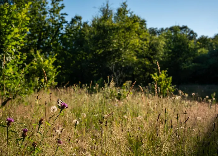 4 Etoiles - 3 - 6 Personnes - Nature, Campagne, Confort Moderne, Charme, Jardin Et Vue Exceptionnelle - Proche
