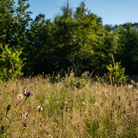 4 Etoiles - 3 - 6 Personnes - Nature, Campagne, Confort Moderne, Charme, Jardin Et Vue Exceptionnelle - Proche