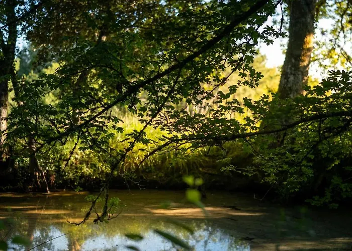 4 Etoiles - 3 - 6 Personnes - Nature, Campagne, Confort Moderne, Charme, Jardin Et Vue Exceptionnelle - Proche * Martel